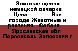 Элитные щенки немецкой овчарки › Цена ­ 30 000 - Все города Животные и растения » Собаки   . Ярославская обл.,Переславль-Залесский г.